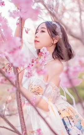 穆零Mu0 - 樱花盛开的季节